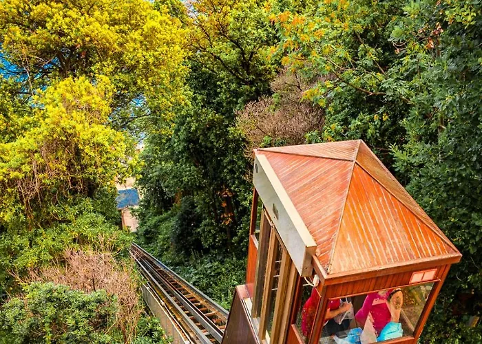 Hotel Hotiday Pineta